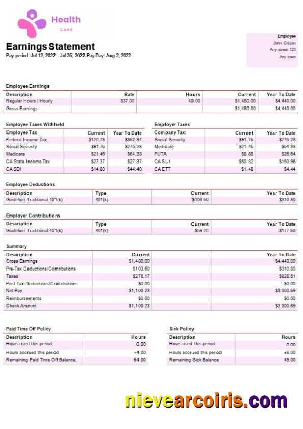 health services company paystub